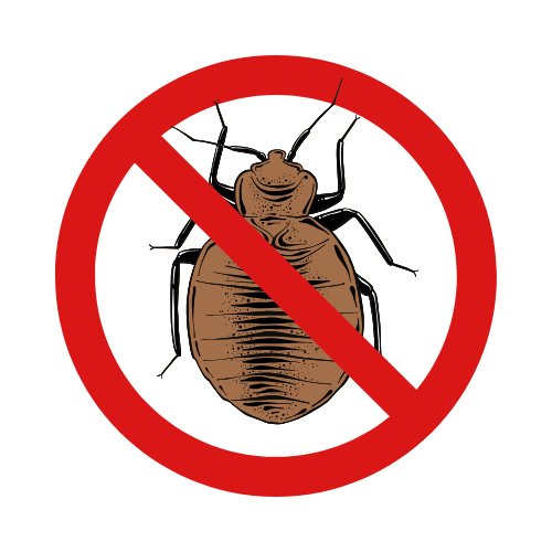 Stop punaises de lit