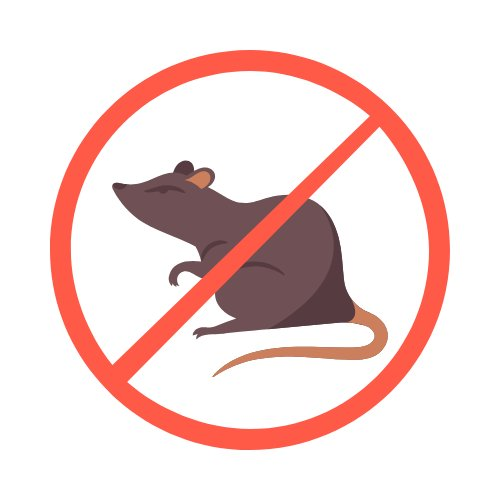 Stop rats - Dératisation